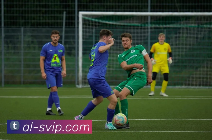 俄罗斯贵宾会官网平台生态图