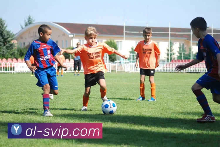 俄罗斯贵宾会官网APP 封面图